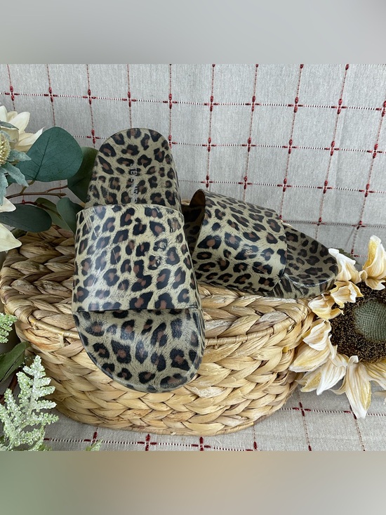 Steve Madden Shoes - Steve Madden Sofi Leopard Print Slides Women’s Sz 6 PreLoved Sandals Pool Slides